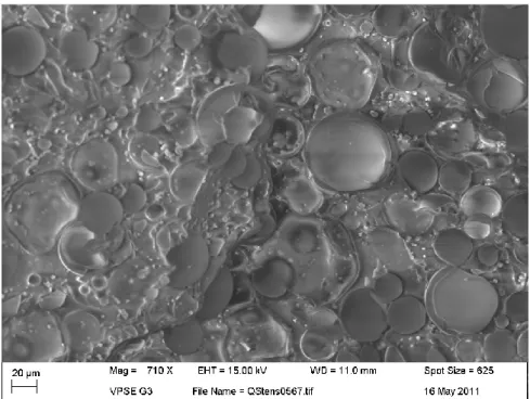 Figura H.68: micrografia ESEM eseguita su schiuma sintattica testata in tensione in regime  quasi statico 