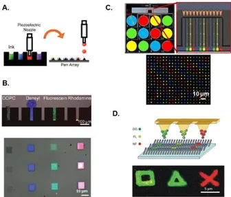 Figure 1.4: A. Scheme for addressable inking of pen arrays by ink-jet printing and B. inking of a 1D pen array with four different inks (DOPC,  Dan-syl, Fluorescein, Rhodamine) and corresponding multiplexed parallel patterns written on glass