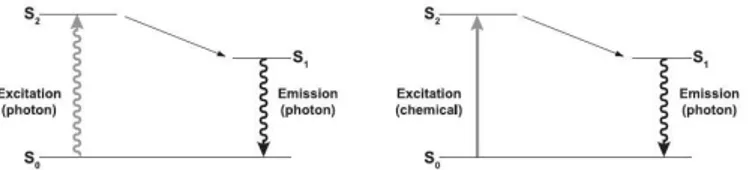 Figure 2.4: Comparison of fluorescence (left) to luminescence (right). S 0 , ground
