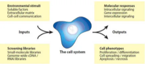 Figure 2.6: Attributes of a cell assay.