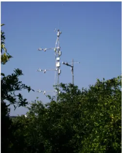 Fig. 6.2. Micrometeorological tower.