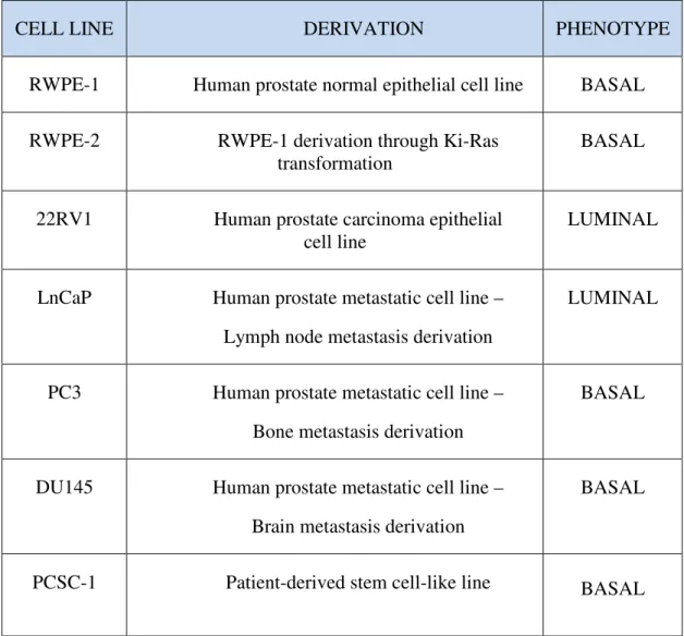 Table 1:  prostate cancer cell lines 