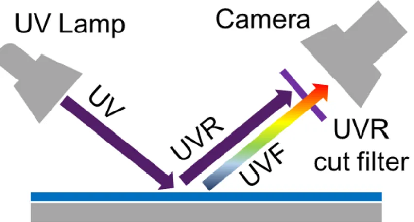 Figure 4: setup for Ultraviolet reflection (UVR) and fluorescence (UVF) analysis.  3)  Infrared reflectography (IRR) technique is based on the illumination of the painting 