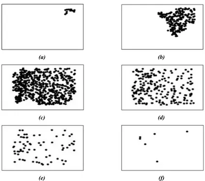 Figure 2.1: Snapshots of the evolution of the epidemic spreading for MAEM with N = 1000, r = 1,  = 0:05, and = 0:2: (a) t = 1; (b) t = 96; (c) t = 216; (d) t = 456; (e) t = 969; and (f) t = 1176