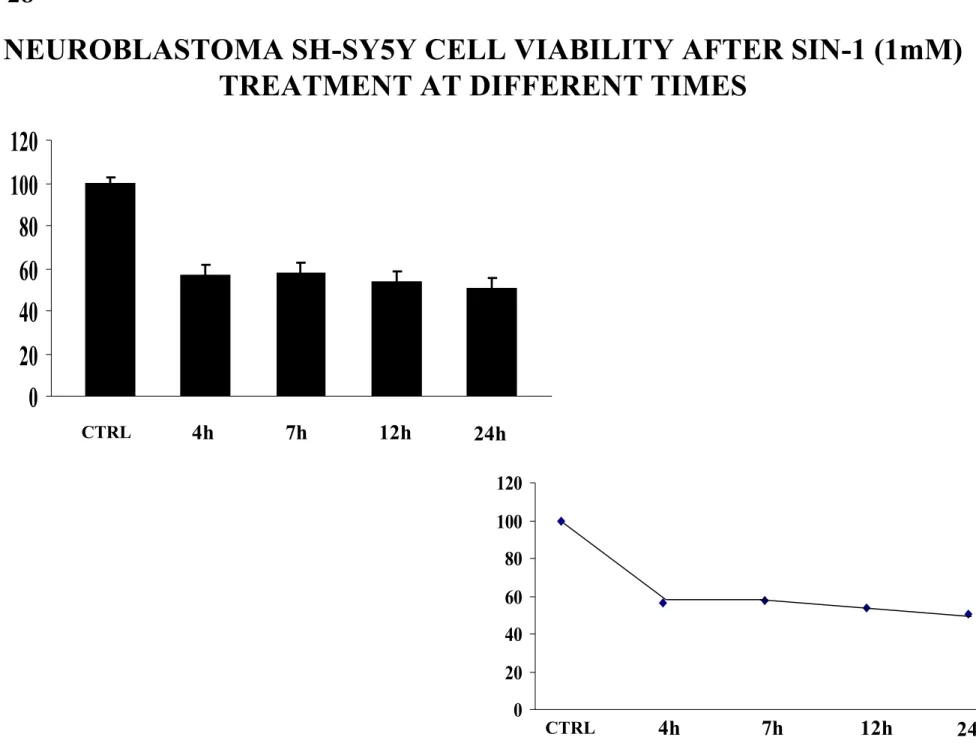 Fig 28 0 20406080100120 4h 7h 12hCTRLCELL VIABILITY (%) 0 20406080100120 4h 7h 12hCTRL24h 24hNEUROBLASTOMA SH-SY5Y CELL VIABILITY AFTER SIN-1 (1mM) 