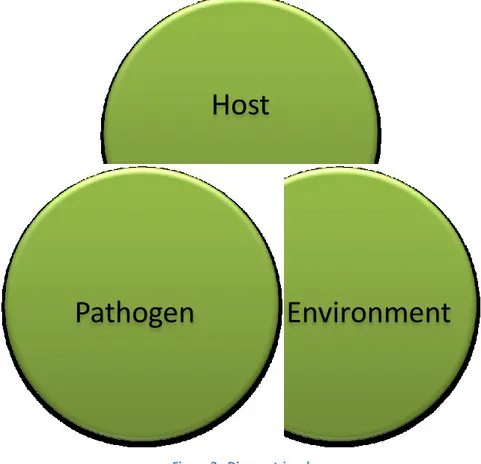 Figure 3 - Disease triangle