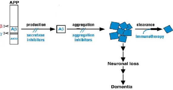 Figure 6. Different strategies to inhibit Aβ driven toxicity 