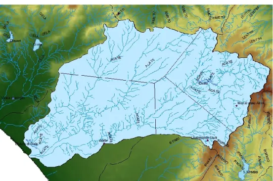 Figure 4.7 – Partition of the Acate river basin in influence areas with Thiessen  polygons 