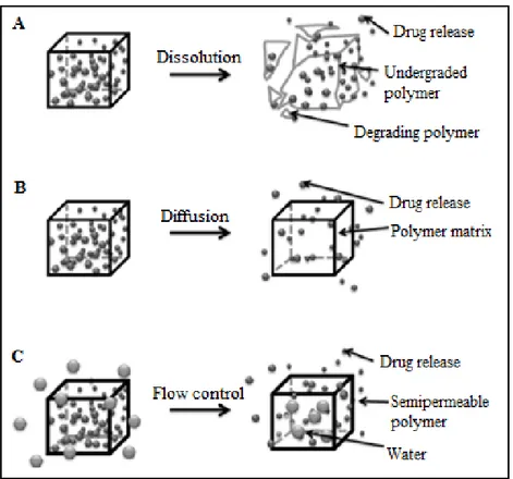 Figure 6. Mechanisms  for temporal controlled-release drug systems (A) Dissolution of a polymer with 
