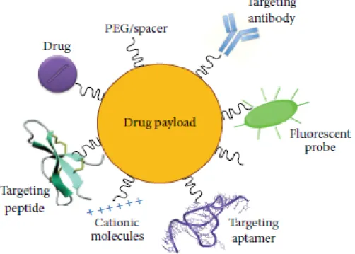 Figure  10 .  Multifunctionalized  NPs.  Graphical  representation  of  surface-modified  NPs  with  drugs 
