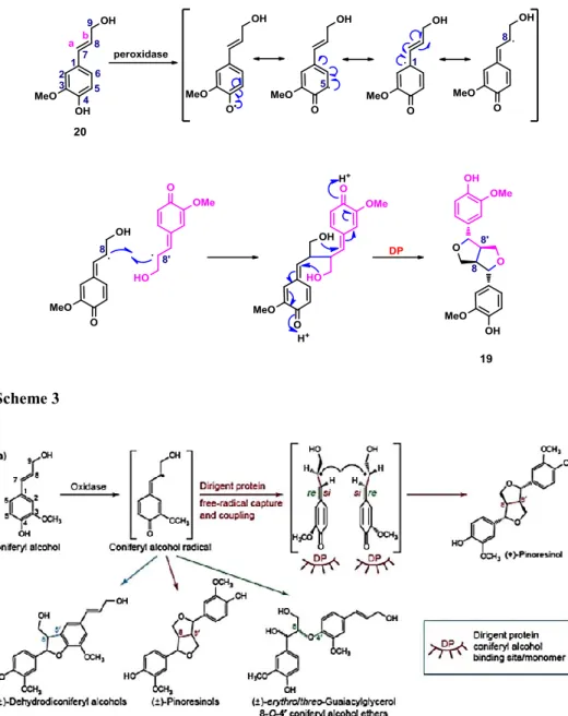 Figure  1:  stereochemical  control  through  Dirigent  protein  -  Adapted  from:  Science,  1997, 275, 362-366  