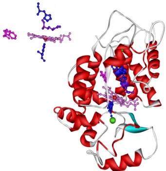 Figure 3: Model structure of Horseradish Peroxidase 