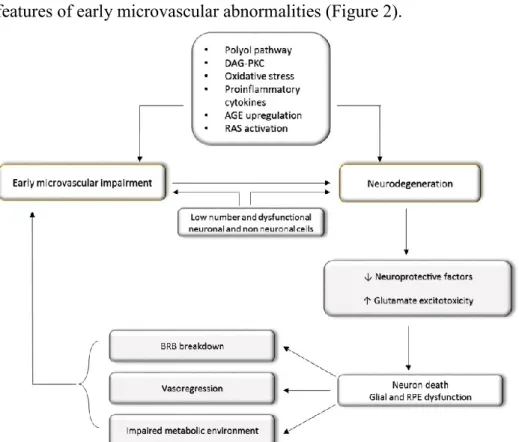 Figure  2.  Diagram  of  the  main  mechanisms  leading  to  diabetic  retinopathy  (DR)