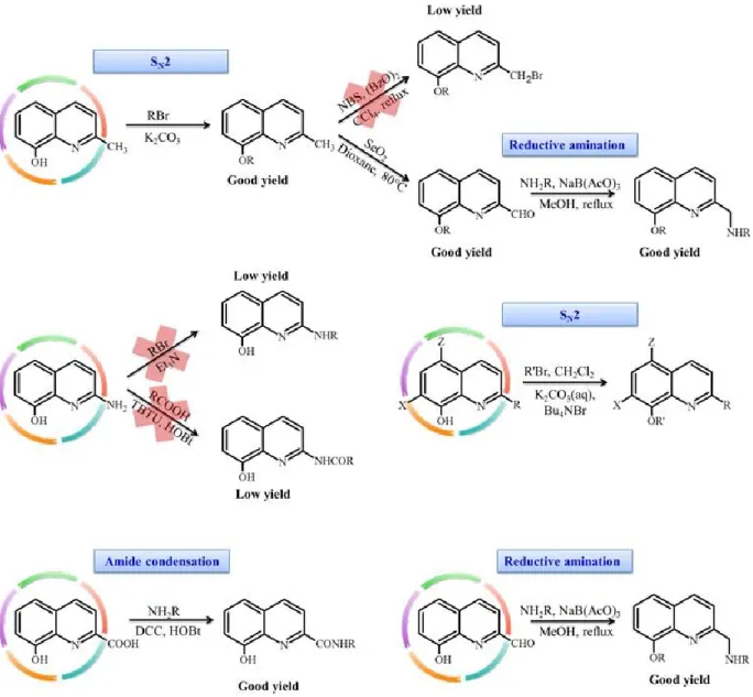 Figure 28. Synthetic routes to obtain OHQ conjugates. Starting materials are highlighted