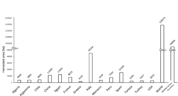 Figure 1.4. Globe artichoke harvested areas in countries with at least 1,000 ha harvested