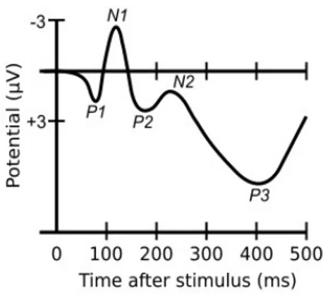 Figure 5 - Typical P300 wave. The P300 (or P3) is a positive deflection in 