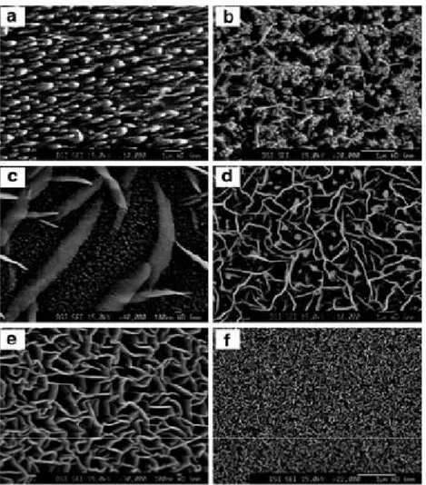 Figure 14. SEM images of carbon nanostructures grown at different H 2 /CH 4  flow rate 