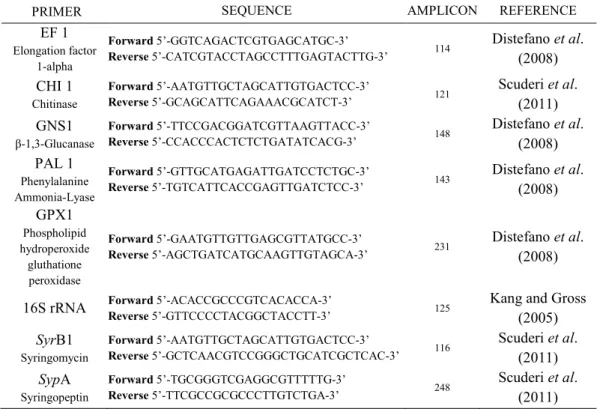 Table 2. Sense and antisense primers adopted in quantitative RT-PCR.   3.3.2. Selection of amplification primers 