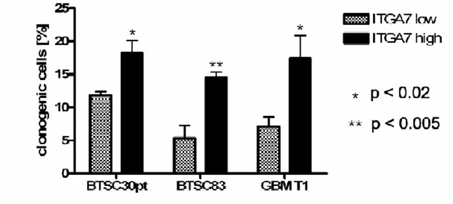 Figure 8: The ITGA7 positive population of primary BTSC cells is enriched for clonogenic cells 