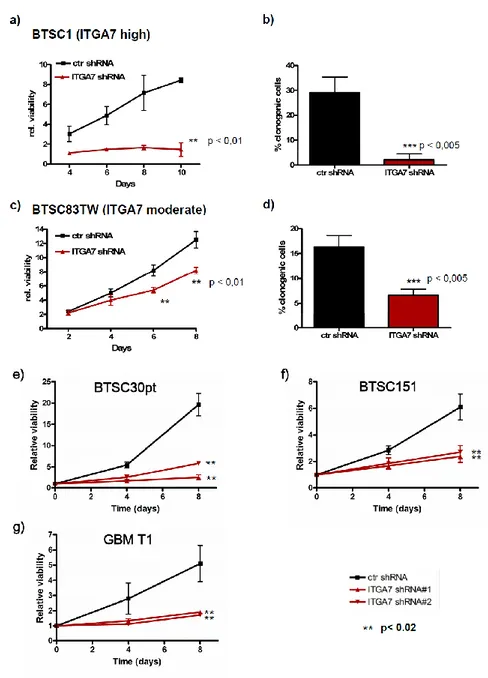 Figure 9: ITGA7 is crucial for the growth and clonogenicity of BTSC1 in vitro 