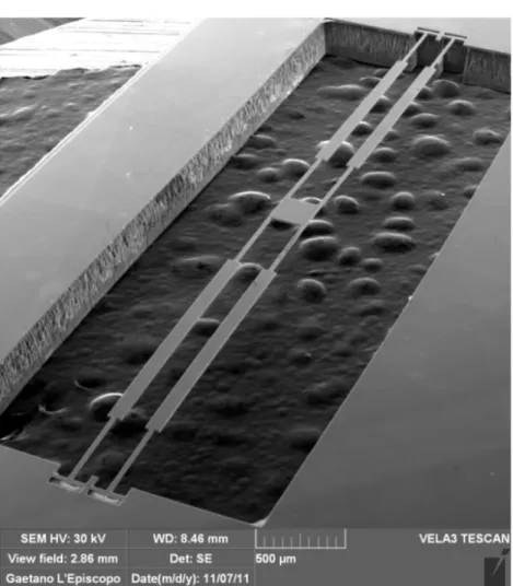 Fig. 2.3 – SEM image of a nonlinear fully compliant structure released in the BESOI process.