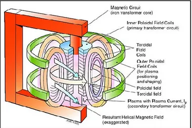 Figure 1.3: Toroidal and poloidal coil in JET's Tokamak