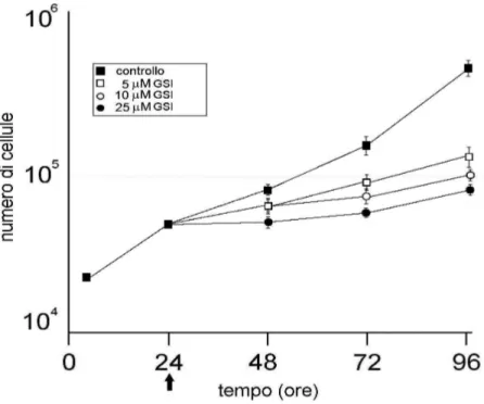 Fig.  6  Curve  di  crescite  delle  cellule  in  coltura  trattate  con  GSI  a 