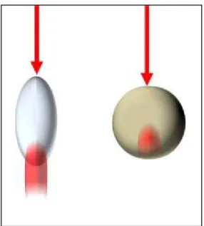 Fig. 2.8  Dielectric structures invested by light and focusing electro-magnetic energy near the surface  (photonic nano-jet) or inside their volume