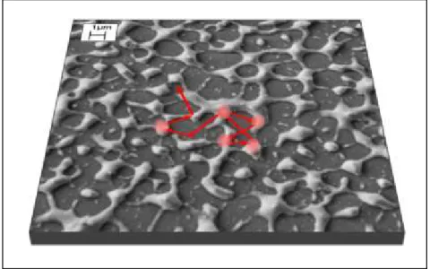 Fig. 2.30 SEM plan view of sample 900.The red arrows represent the in-plane light multiple scattering  on the nano-structures