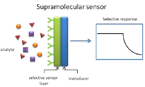 Figure 1.1.1 Selective response from a supramolecolar sensor. 