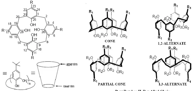 Figure 1.3.1. Calixarene, conformational isomers. 