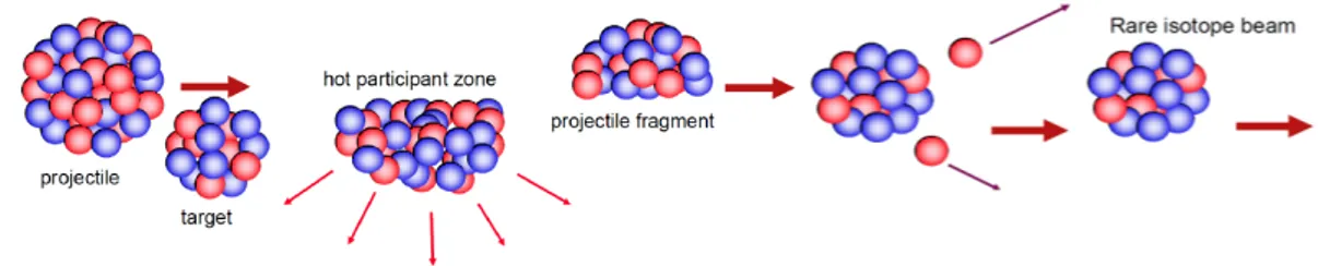 Figure 2.3 Schematic view  of the projectile fragmentation. Accelerate heavy ion beam passes through a thin target to 