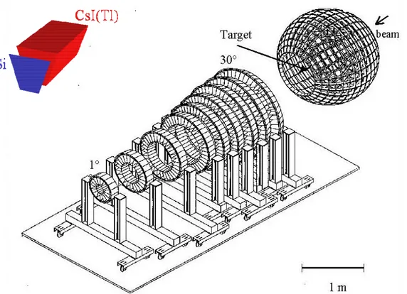 Figure 3.1 Schematic view of the CHIMERA multidetector. The target is set inside the sphere