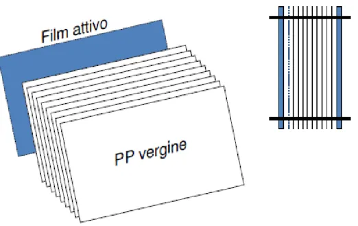 Figura  8.  Rappresentazione  schematica  del  sistema  utilizzato  per  la  valutazione  della  diffusione degli oli essenziali in polipropilene (PP)