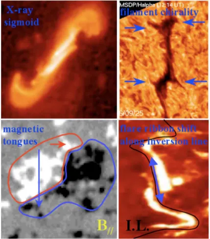 Figure 1.5: Some characteristic features in the solar atmosphere characterized by positive helicity: X-ray sigmoids, fibrils, magnetic tongues and flare ribbons (D´emoulin 2008)