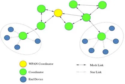 Figure 1-3: 802.15.5 meshed wireless PANs (adapted from [10]). 