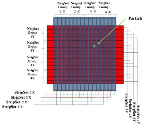Figure	1.3	‐	Scheme	of	a	segmented	X‐Y	detector	useful	to	clarify	the	application	of	compression	 channel	technique.	