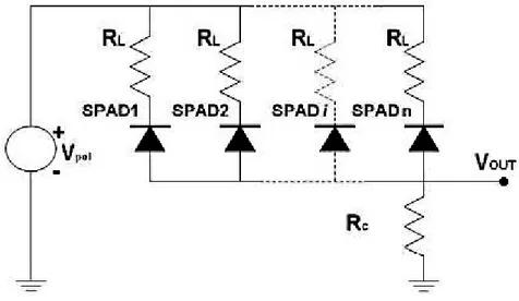 Figure	1.11	‐	Scheme	of	a	SiPM	circuit,	seen	as	a	matrix	of	SPAD	[12].	