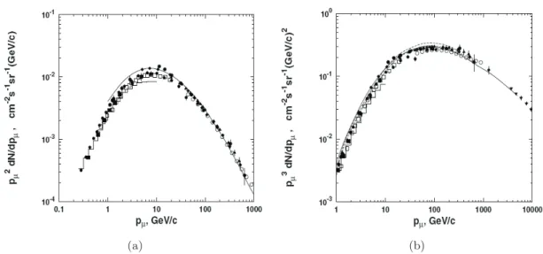 Figure 2.3: 2.3(a): Muon differential energy spectra measured at sea level by different experiments