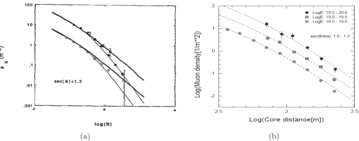 Figure 2.13: 2.13(a): Lateral distribution of muons obtained by Agasa for vertical showers (hsec θi = 1.09) in 10 17.5 ≤ E &lt; 18 18 eV (open circles) and 10 18.5 ≤ E &lt; 18 19 eV (full circles)