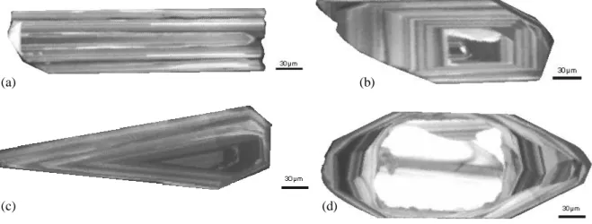 Fig.  6.5.1.1 Immagini in catodoluminescenza di selezionati cristalli di zirconi del campione V4B 