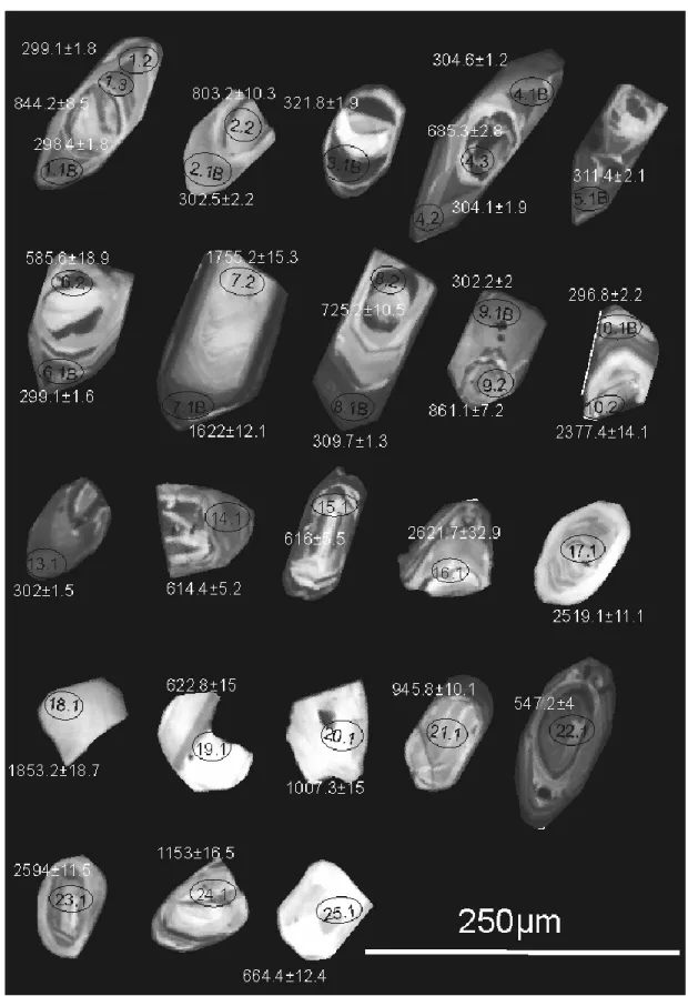 Fig. 6.5.2.2 Immagini in catodoluminescenza di selezionati cristalli di zircone appartenenti al campione di 