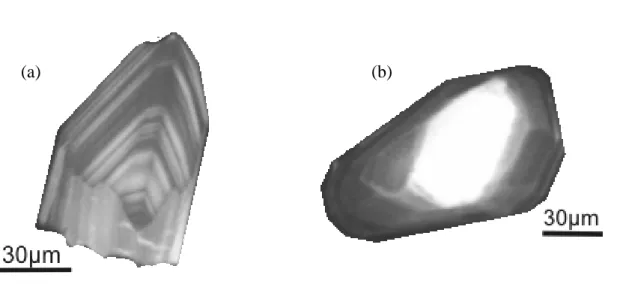 Fig.  6.5.3.1  Immagini  in  catodoluminescenza  di  selezionati  cristalli  di  zirconi  appartenenti 