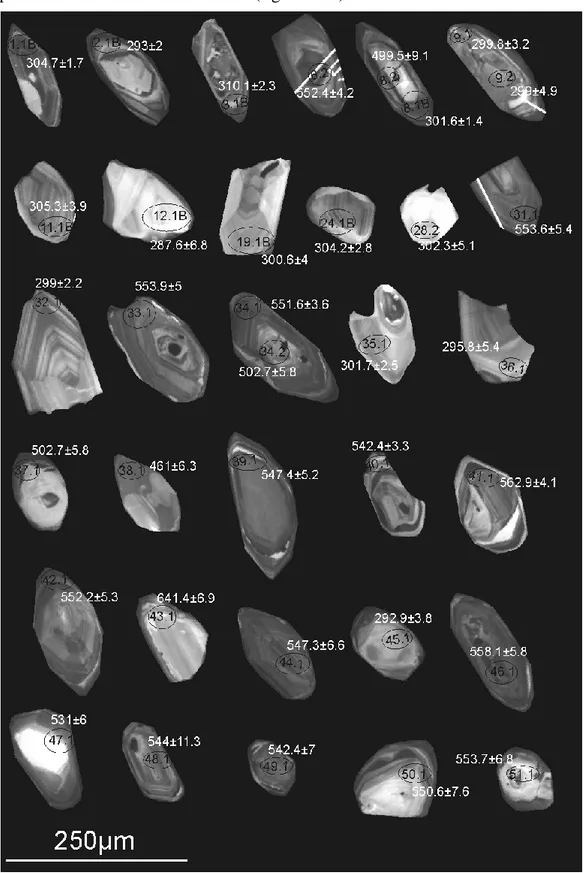 Fig. 6.5.3.2 Immagine in catodoluminescenza di selezionati cristalli di zircone appartenenti al campione 