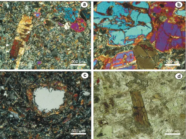 Fig. 3.1: Representative microphotographs of LMA samples showing a) clinopyroxene  phenocrysts set in a plagioclase, clinopyroxene and amphibole fine groundmass; b)  clinopyroxene phenocrysts aggregate