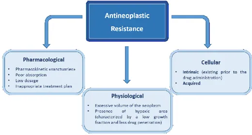 Fig. 1 Schematic representation of the main causes of resistance to antineoplastics. 
