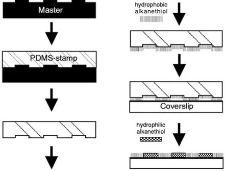 Figure  4. PDMS stamp preparation and micro-contact printing of  alkanethiols on subrate (from Lehnert et al., J Cell Sci , 2004 117, 