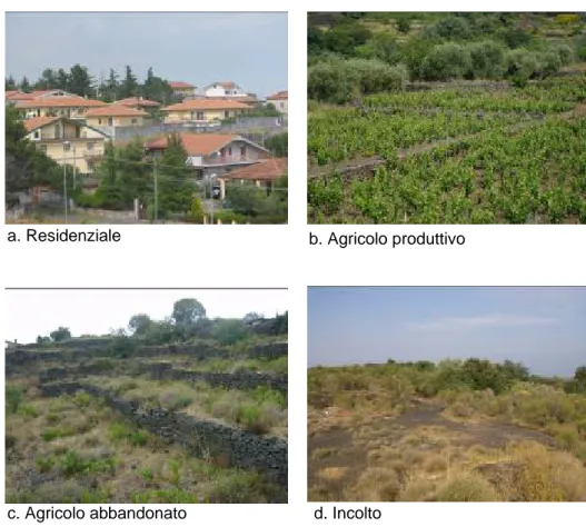 Fig. 4.6 – Tipi di uso del suolo: a. Residenziale, b. Agricolo produttivo, c. Agricolo  abbandonato, d