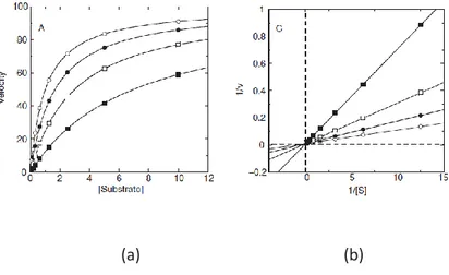 Figure 10: Substrate titration of steady state velocity for an enzyme 