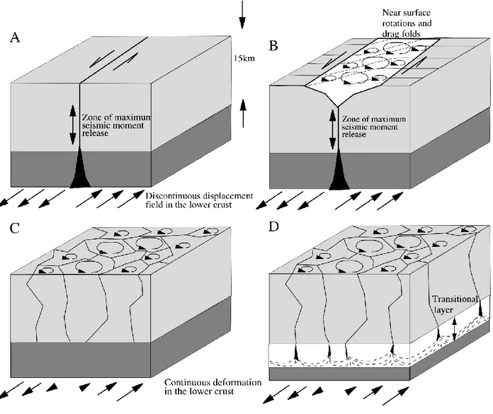 Fig  1.1:  Modelli  di  distribuzione  della  deformazione.  (a,b)  Deformazione  a  blocchi:  la  faglia  raggiunge  la  porzione  profonda  della  crosta  e  in  superficie  la  deformazione provoca la rotazione di piccoli blocchi intorno alla zona di ro